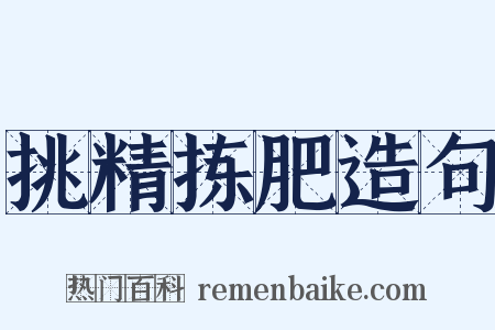 挑精拣肥造句是什么意思的图片